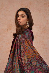 Wine Velvet Suit with Woven Chanderi Dupatta
