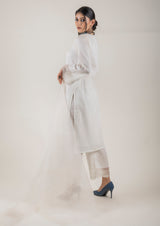 Cream Embroidered Suit Set with Organza Dupatta