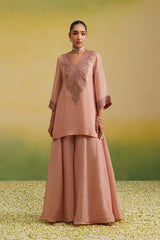 tissue sharara set, light pink tissue, hand work