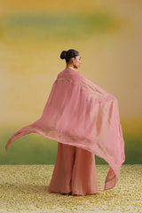organza dupatta