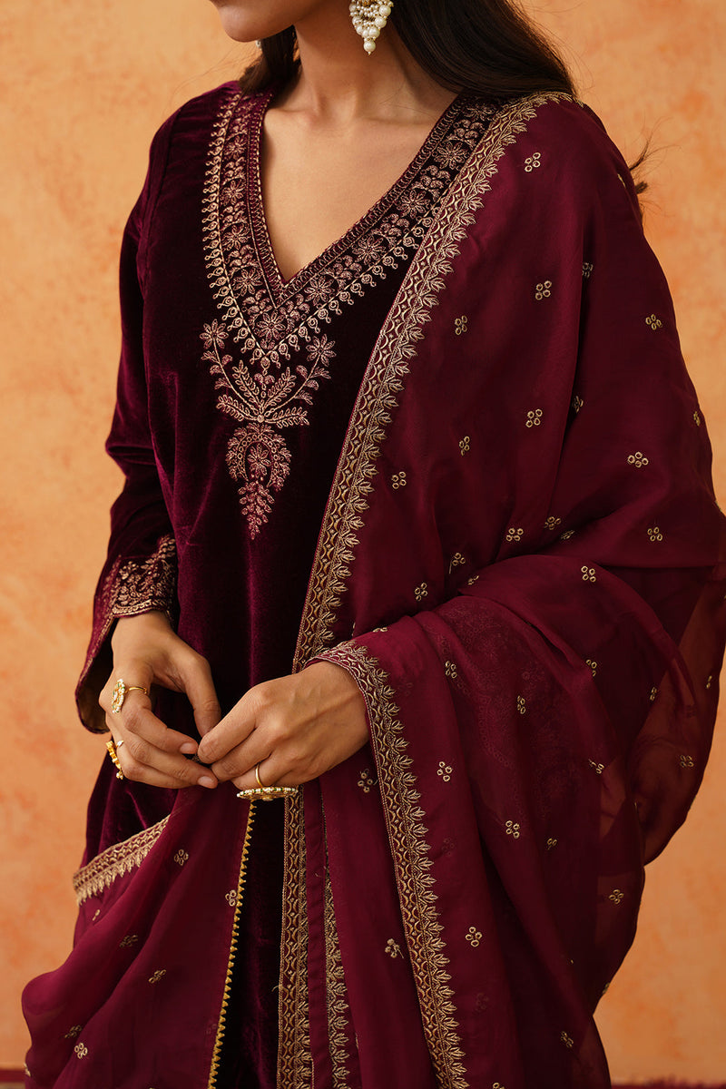 Safar Wine Velvet Embroidered Suit