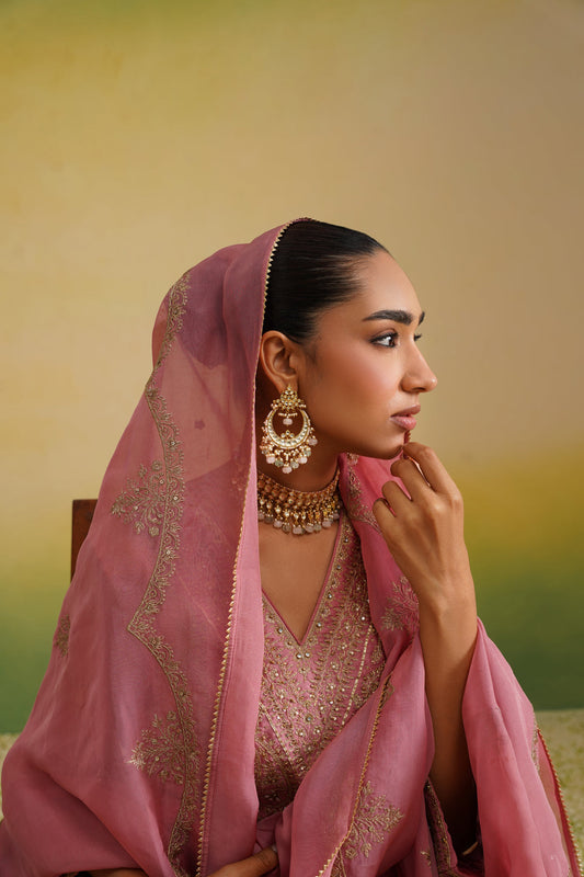 Dupatta close up, organza dupatta, zari work