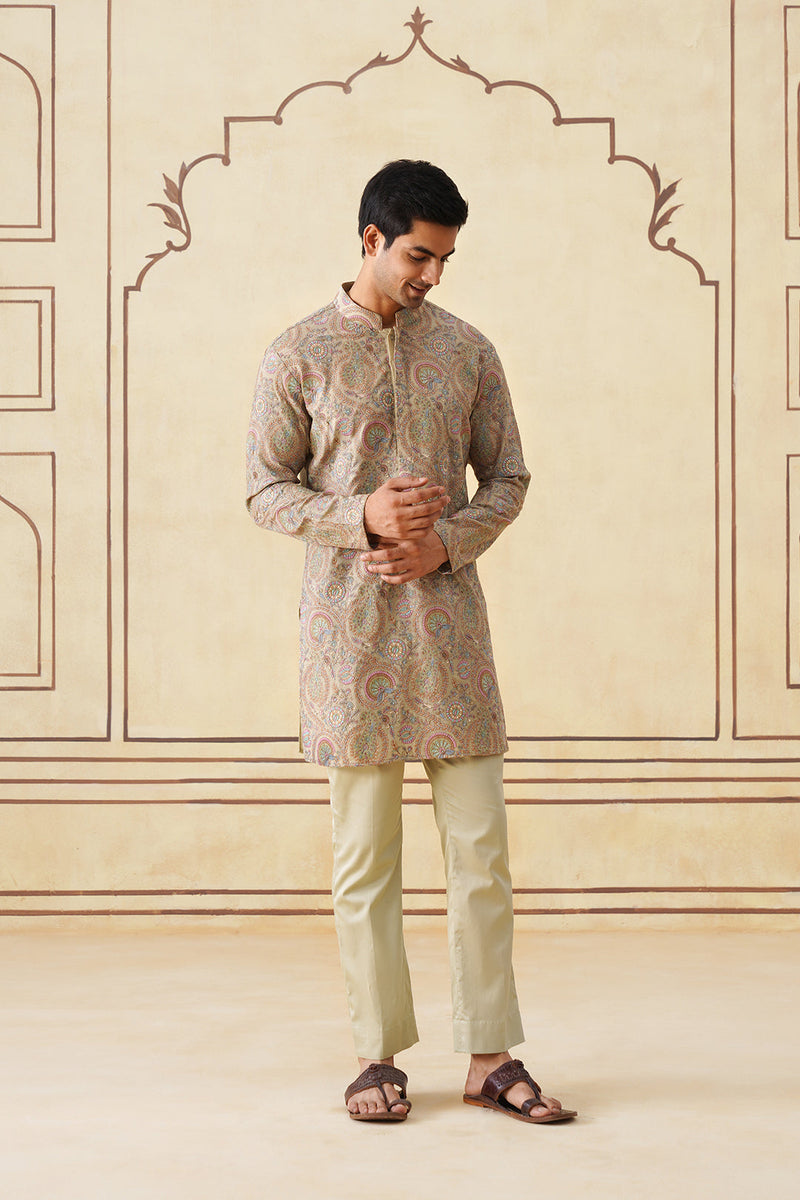 Meher Mint Green Embroidered Kurta & Pant