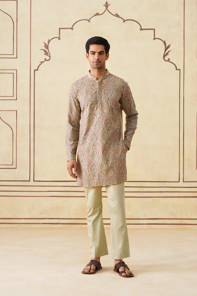 Meher Mint Green Embroidered Kurta & Pant