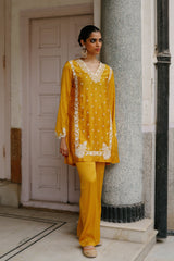 Mustard Embroidered Set