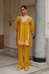 Mustard Embroidered Set