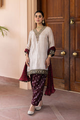 Ziya Champagne Tissue and Banarasi Silk Salwar Set